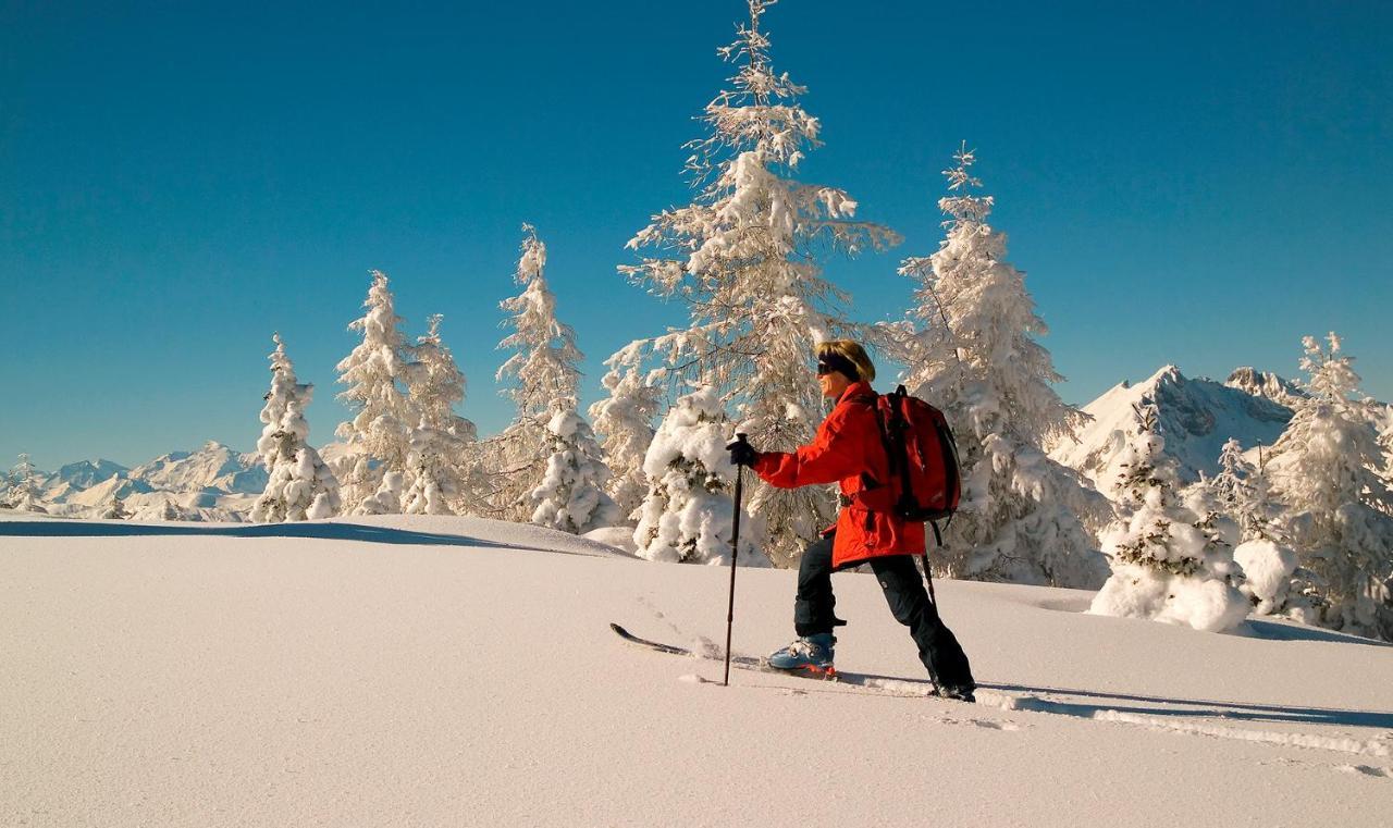 Naturhotel Huettenwirt Im Grossarltal Hüttschlag エクステリア 写真