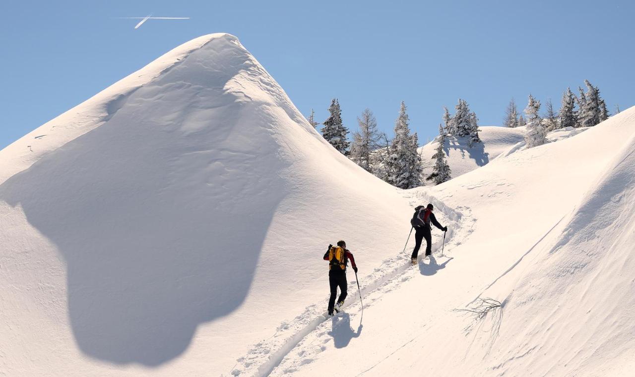 Naturhotel Huettenwirt Im Grossarltal Hüttschlag エクステリア 写真