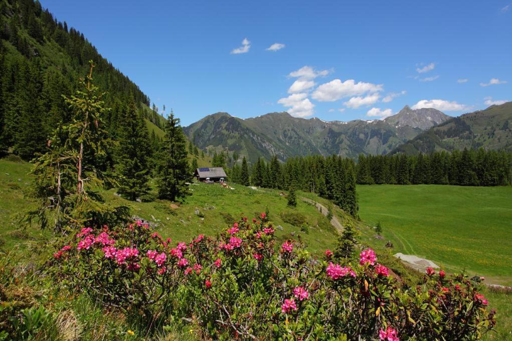 Naturhotel Huettenwirt Im Grossarltal Hüttschlag エクステリア 写真